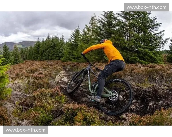 山地车预测 山地车预测